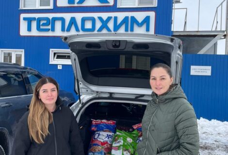 Помощь бездомным животным